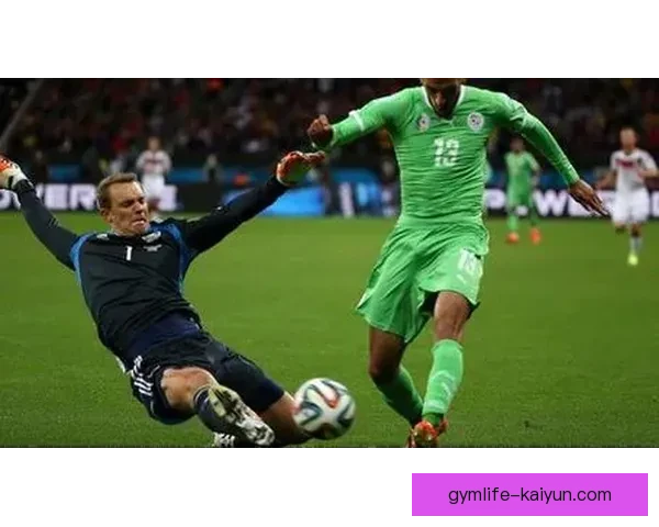 阿尔反击效率 阿尔反击效率