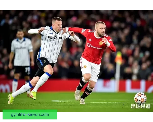 南美杯最佳球员评选结果揭晓，表现稳健的选手引发关注