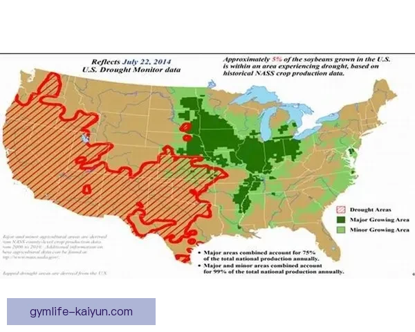 纽伦堡近期攻防平衡表现稳定，状态值得关注